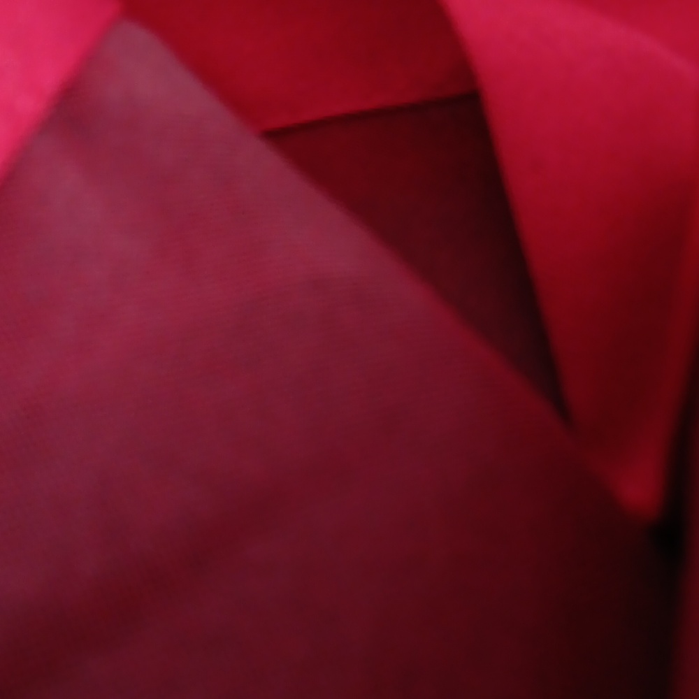 Red Drapes - Picture 6 of 6